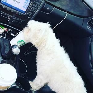 Meet your Posher, Muki